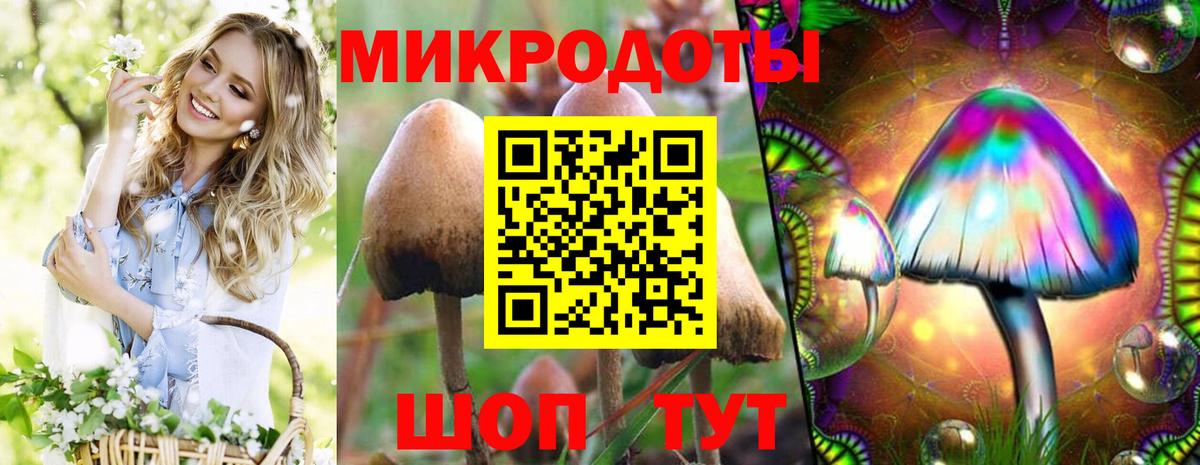 Псилоцибиновые грибы MAGIC MUSHROOMS Воткинск